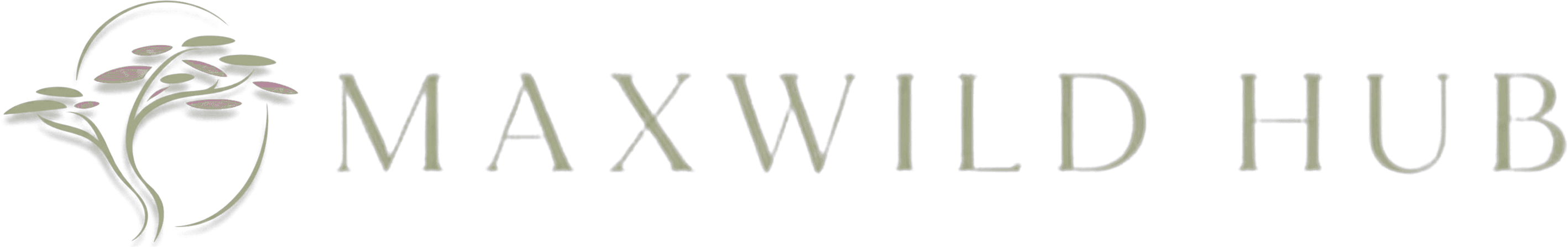 Maxwild Hub